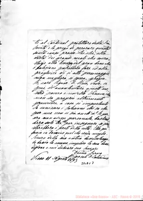 Fotogramma C 7