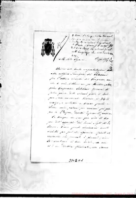 Fotogramma D 1