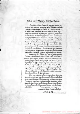 Fotogramma D 12