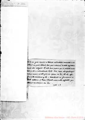 Fotogramma C 8