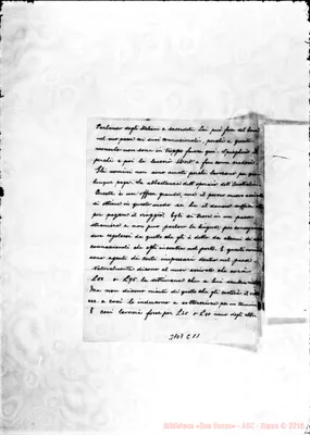 Fotogramma C 11
