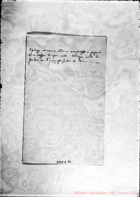 Fotogramma D 10