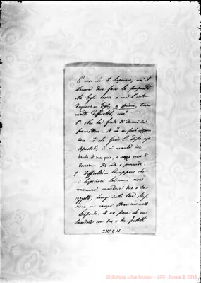 Fotogramma C 11