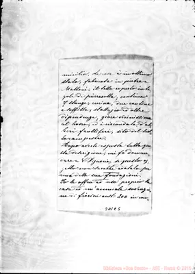 Fotogramma E 5