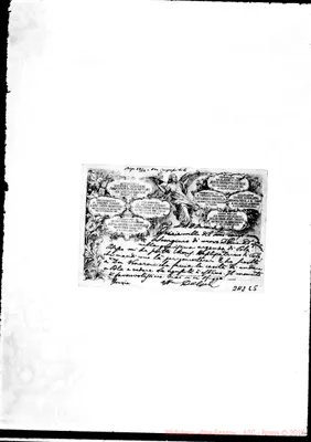 Fotogramma C 5