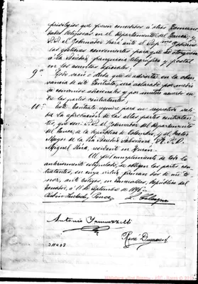 Fotogramma D 8