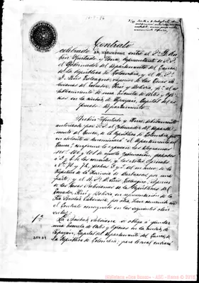 Fotogramma D 9