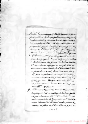Fotogramma D 5