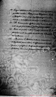Fotogramma D 11