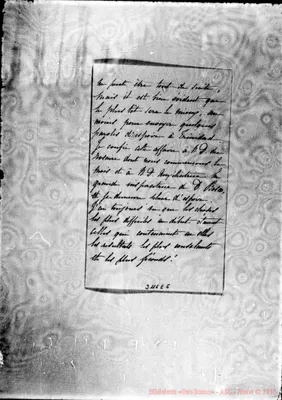Fotogramma E 5