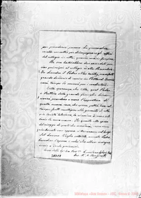 Fotogramma C 8