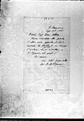 Fotogramma D 9