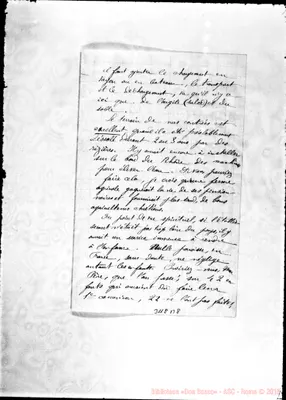 Fotogramma B 8