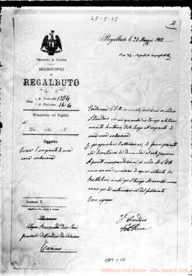 Fotogramma C 11