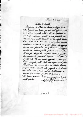 Fotogramma D 8