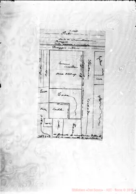 Fotogramma D 12