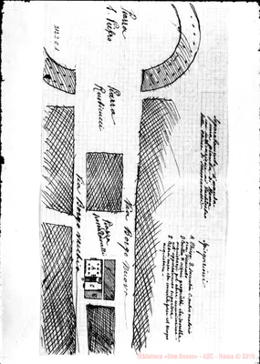 Fotogramma C 1