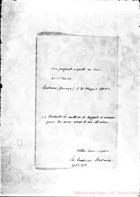 Fotogramma D 11