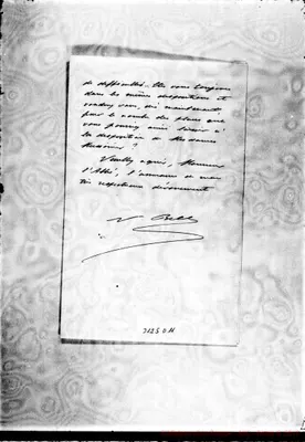Fotogramma D 11
