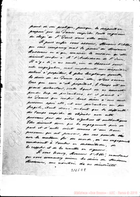 Fotogramma E 8