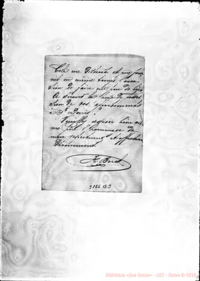 Fotogramma B 3