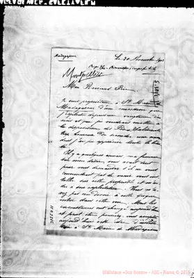 Fotogramma D 11