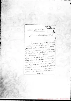 Fotogramma C 6