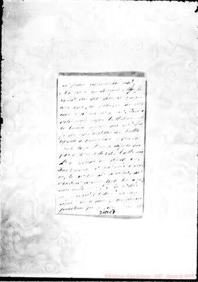 Fotogramma C 7