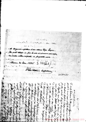 Fotogramma C 11