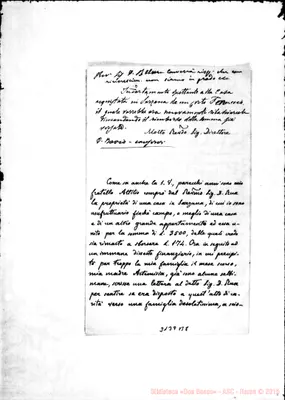 Fotogramma B 8