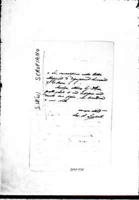 Fotogramma B 11