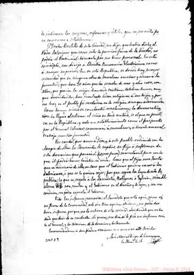 Fotogramma D 9