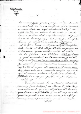 Fotogramma A 1