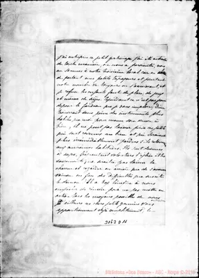 Fotogramma D 11
