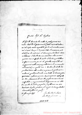 Fotogramma D 11
