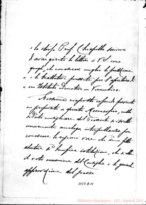 Fotogramma D 11