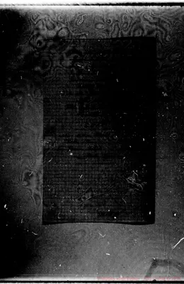 Fotogramma A 11