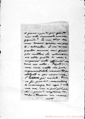 Fotogramma D 11