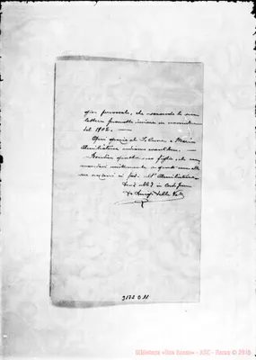 Fotogramma D 11