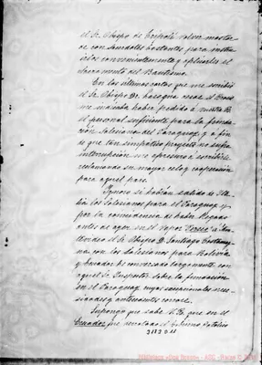 Fotogramma D 11