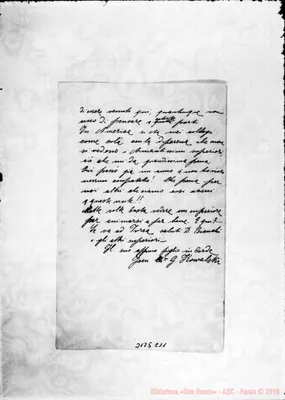 Fotogramma C 11