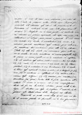 Fotogramma D 11