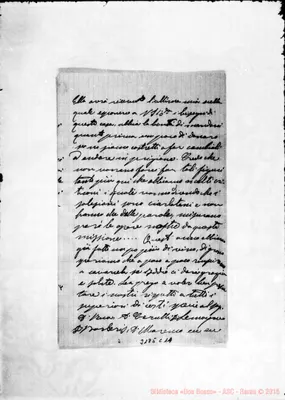 Fotogramma C 11