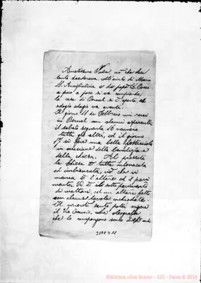 Fotogramma D 11