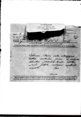 Fotogramma C 10
