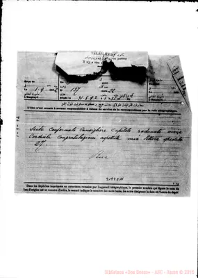 Fotogramma C 11