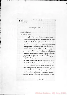 Fotogramma C 7
