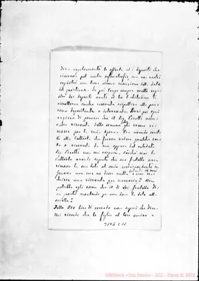 Fotogramma C 11