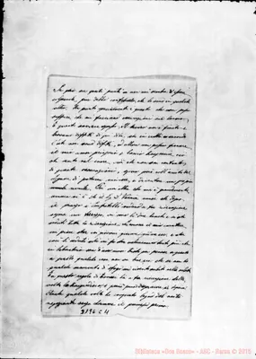 Fotogramma C 11