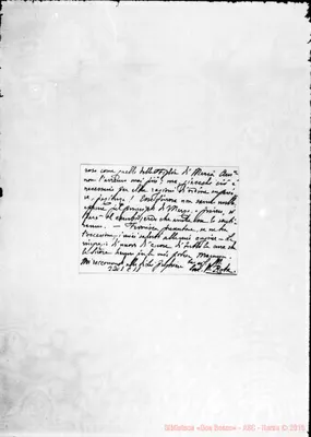 Fotogramma C 11